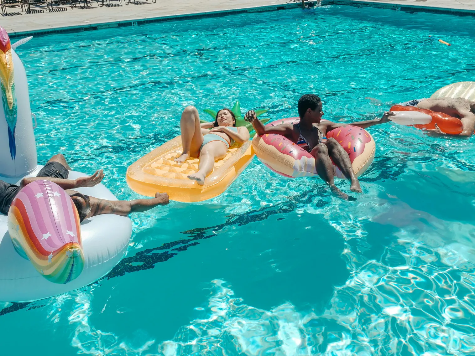 Ducks swimming and turtles exploring in a chlorinated pool setting.