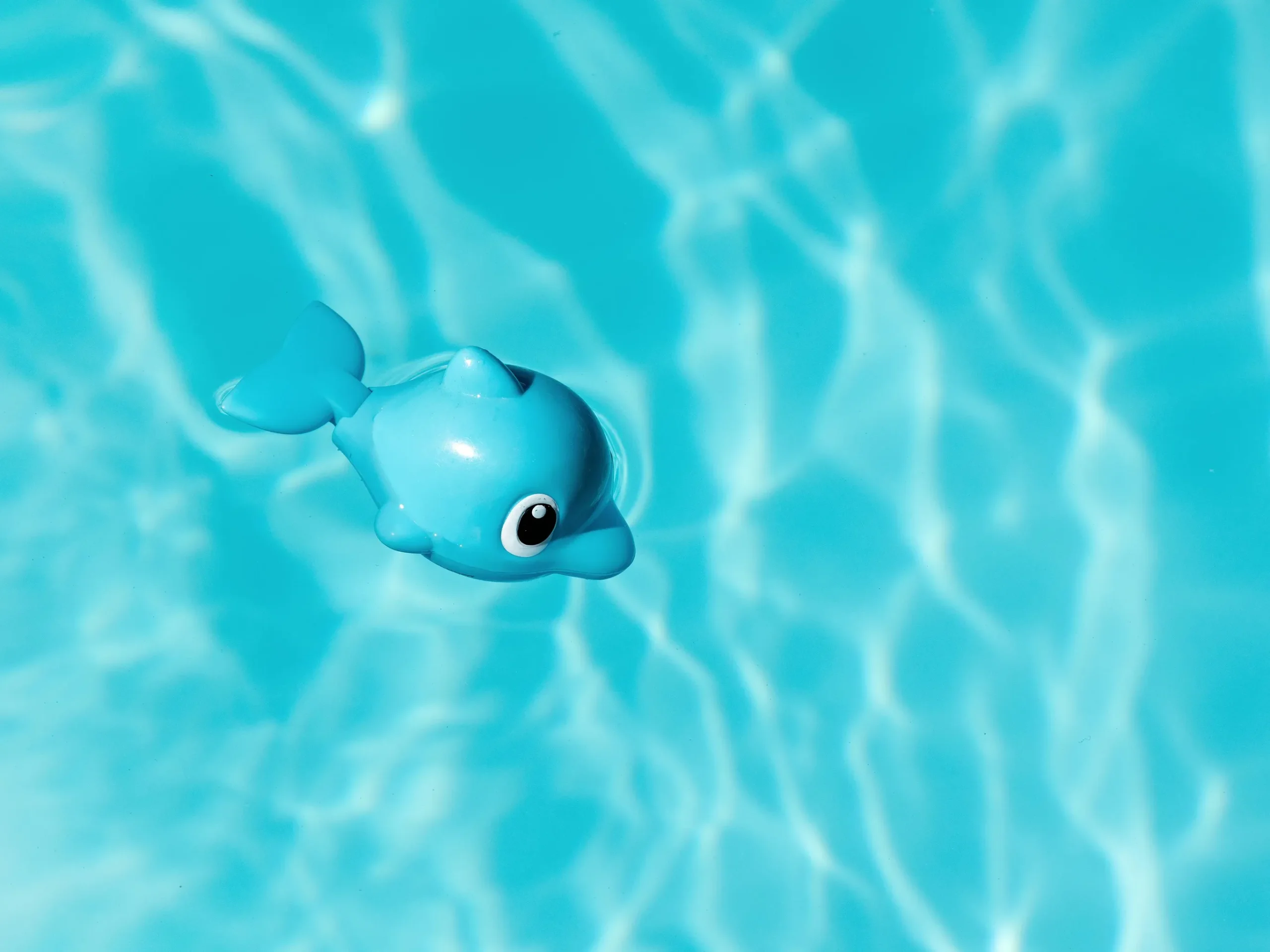 A playful blue dolphin floating in a clear pool, symbolizing relaxation post-brazilian wax.